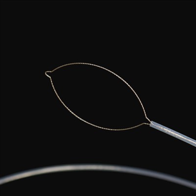 Вита од вилица странски форцепс на телото