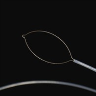 Странски форцепс од видот на теренот